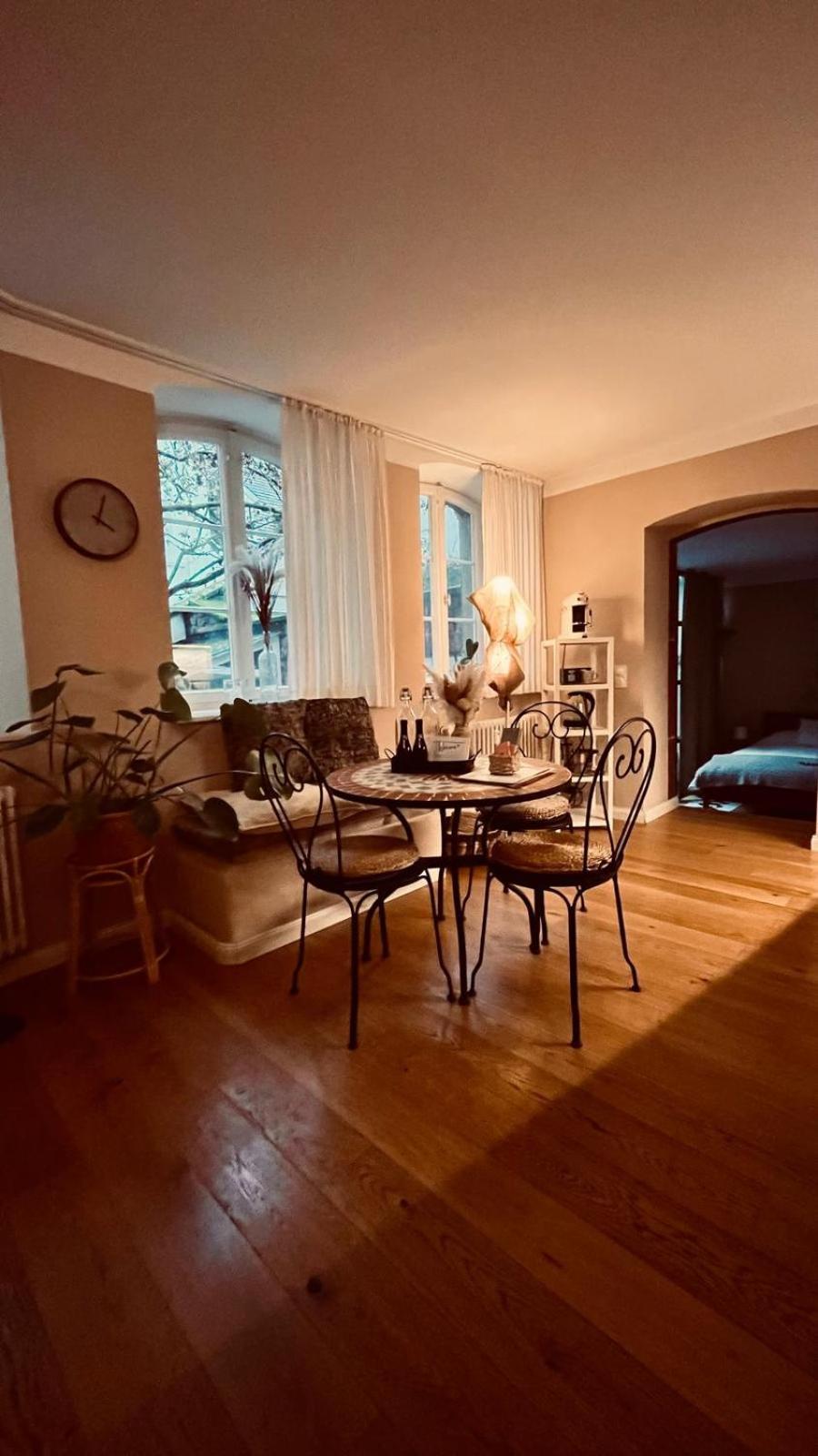 Apartment Am Schloss - Flair Saarbruecken Ngoại thất bức ảnh